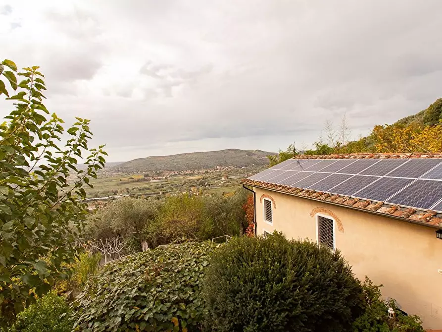 Immagine 11 di Rustico / casale in vendita  a Pisa