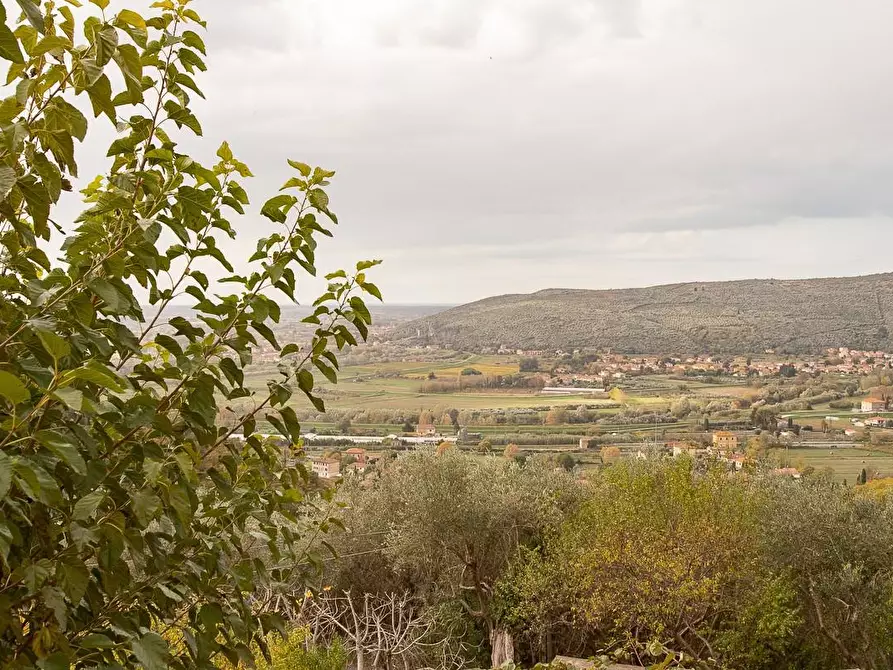 Immagine 10 di Rustico / casale in vendita  a Pisa