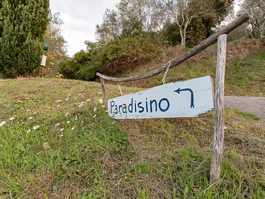 Immagine 50 di Rustico / casale in vendita  a Pisa