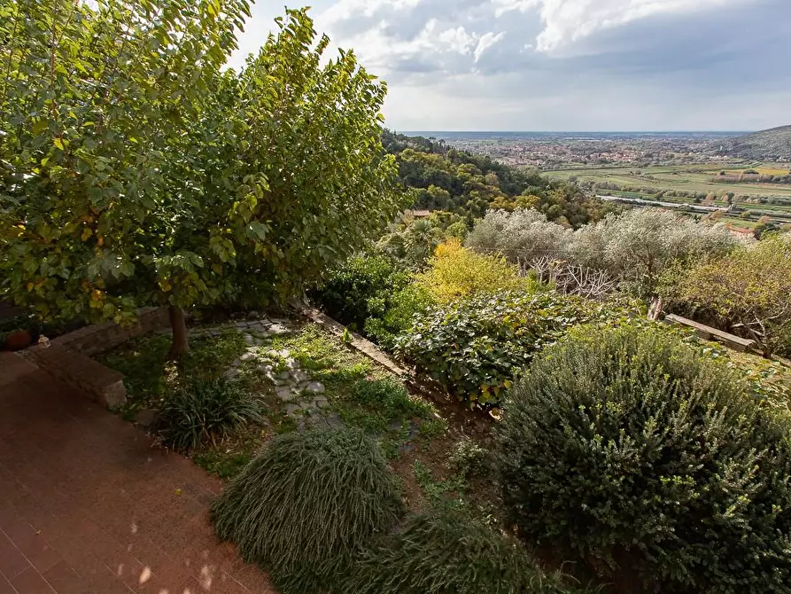 Immagine 21 di Rustico / casale in vendita  a Pisa
