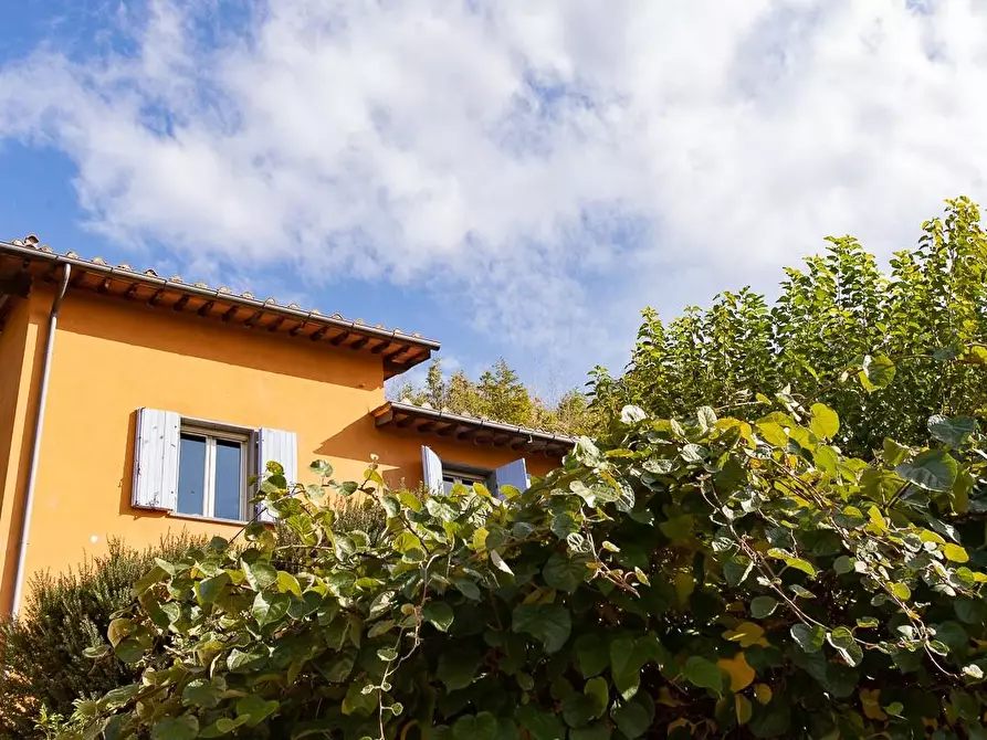 Immagine 39 di Rustico / casale in vendita  a Pisa