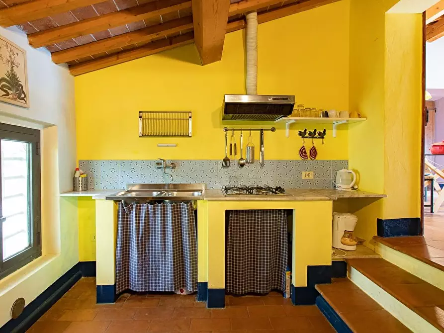 Immagine 31 di Rustico / casale in vendita  a Pisa