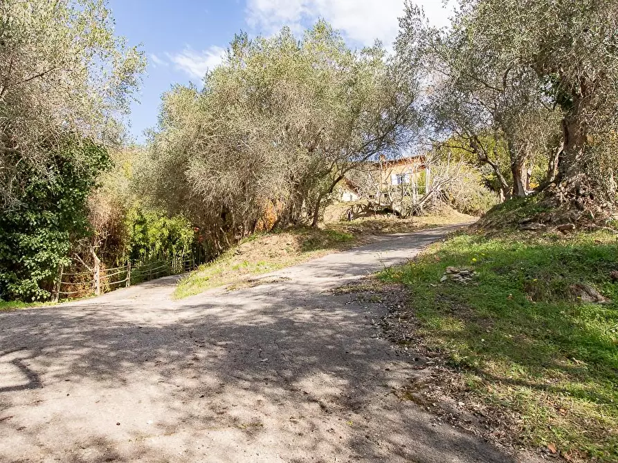 Immagine 42 di Rustico / casale in vendita  a Pisa