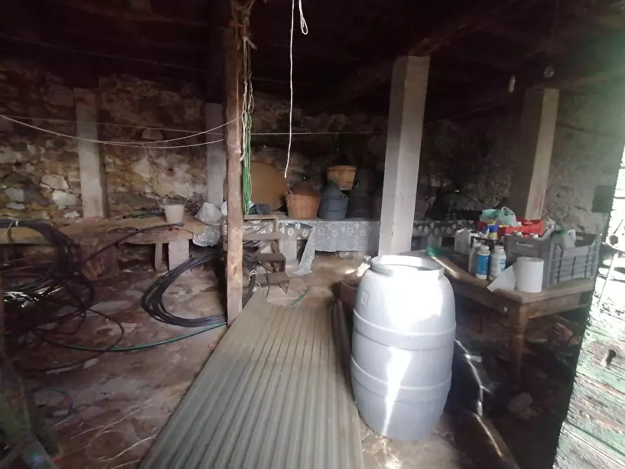 Immagine 6 di Rustico / casale in vendita  a Gallicano