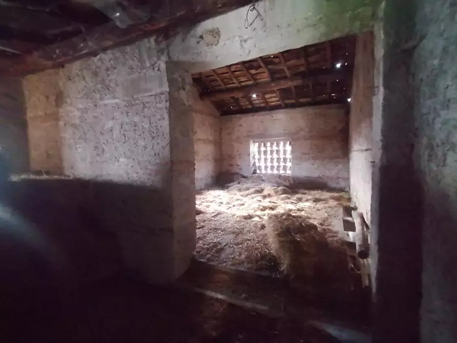 Immagine 21 di Rustico / casale in vendita  a Gallicano