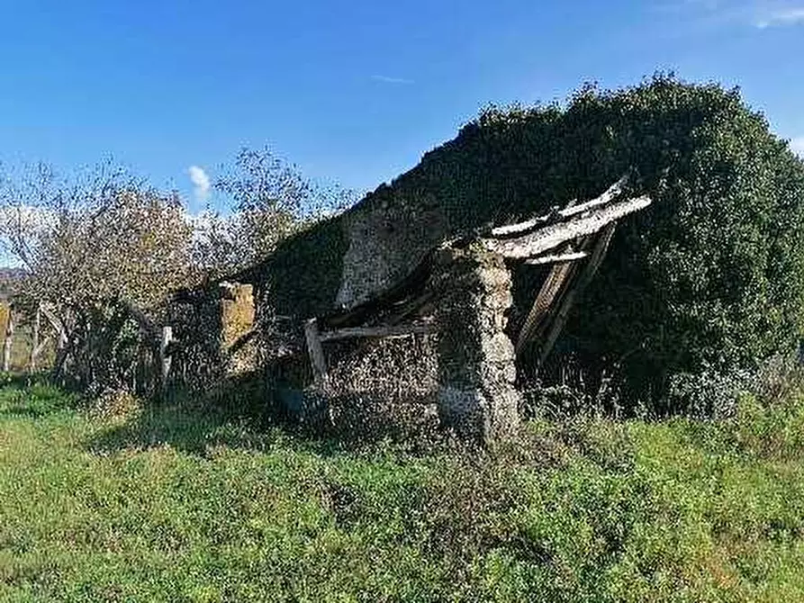 Immagine 4 di Deposito in vendita  a Pieve Fosciana