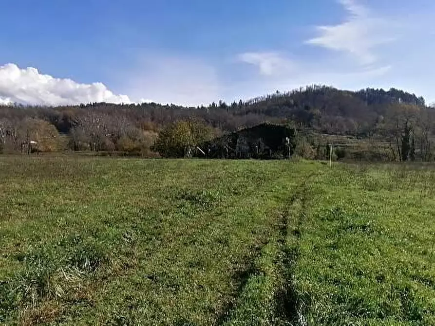 Immagine 3 di Deposito in vendita  a Pieve Fosciana