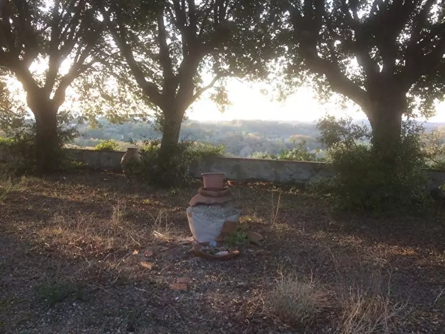 Immagine 11 di Villa in vendita  a Terricciola