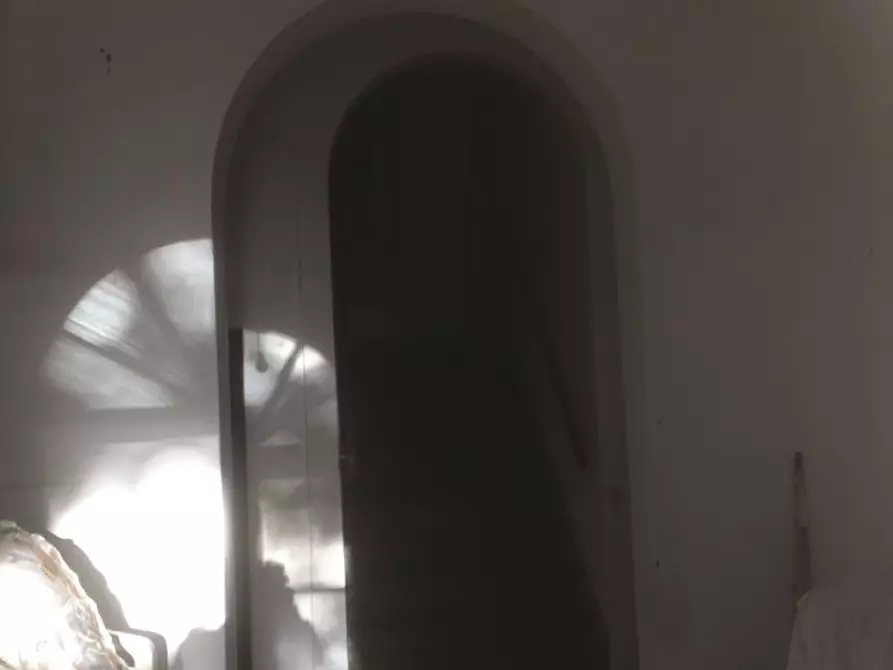 Immagine 2 di Villa in vendita  a Terricciola