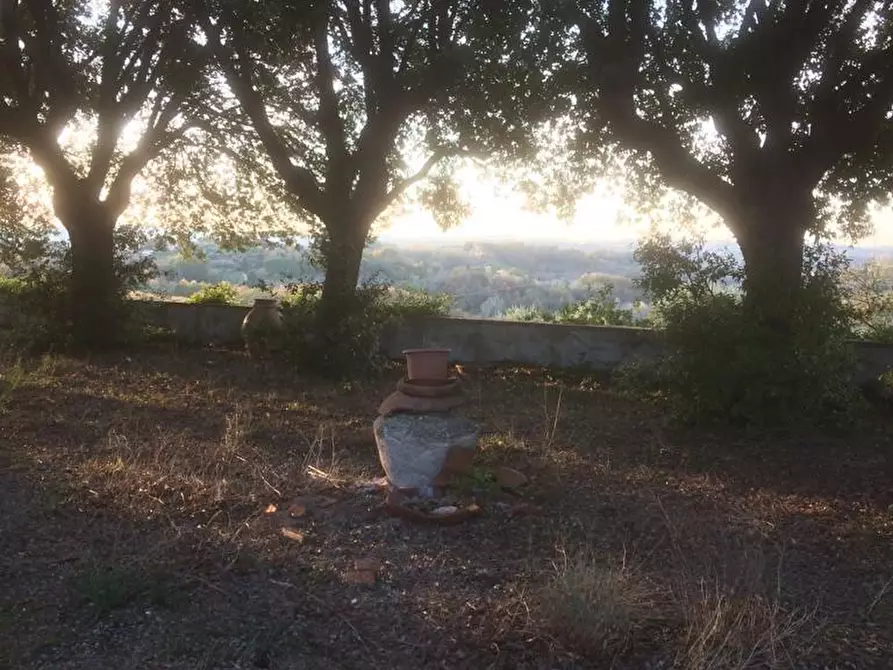 Immagine 12 di Villa in vendita  a Terricciola