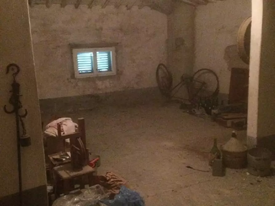 Immagine 6 di Villa in vendita  a Terricciola