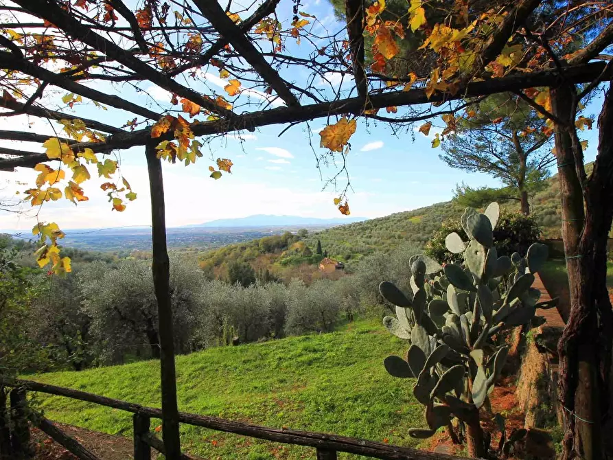 Immagine 20 di Casa colonica in vendita  a Larciano