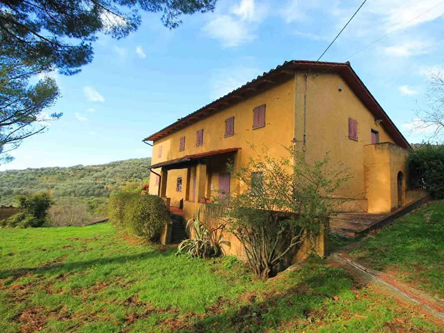 Immagine 38 di Casa colonica in vendita  a Larciano