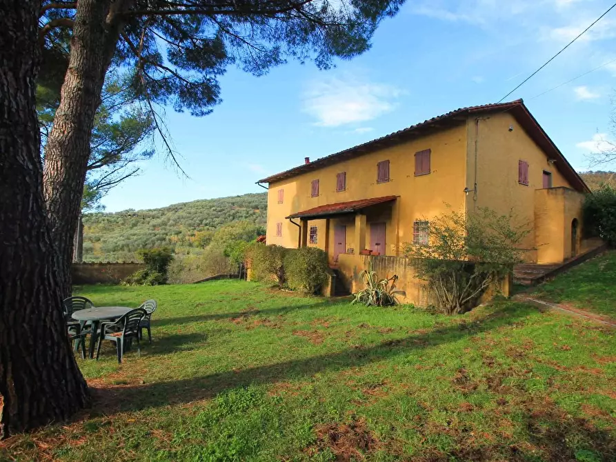 Immagine 22 di Casa colonica in vendita  a Larciano