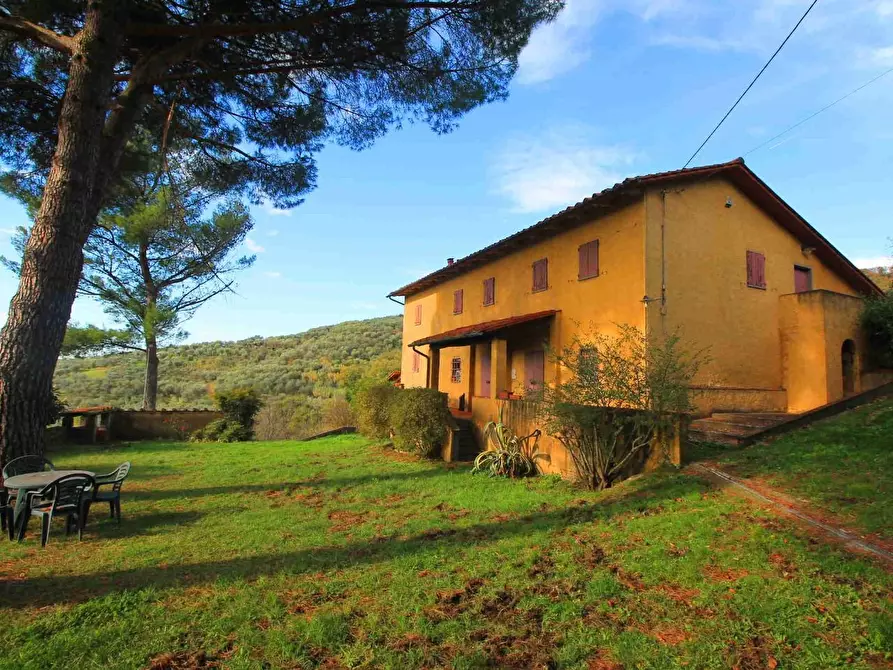 Immagine 36 di Casa colonica in vendita  a Larciano