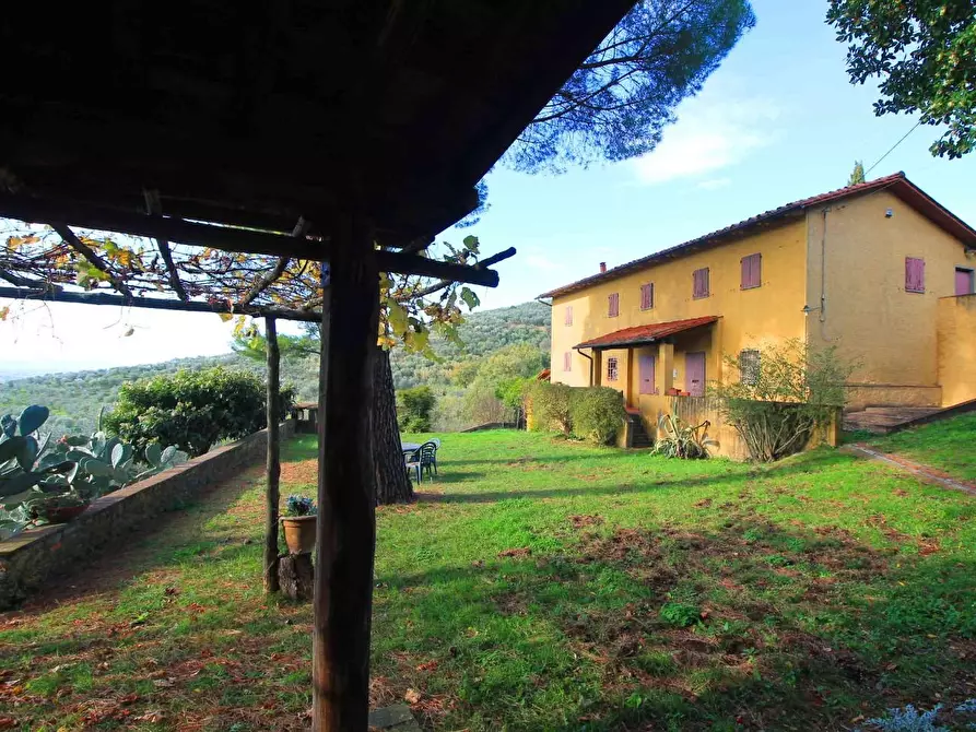 Immagine 23 di Casa colonica in vendita  a Larciano
