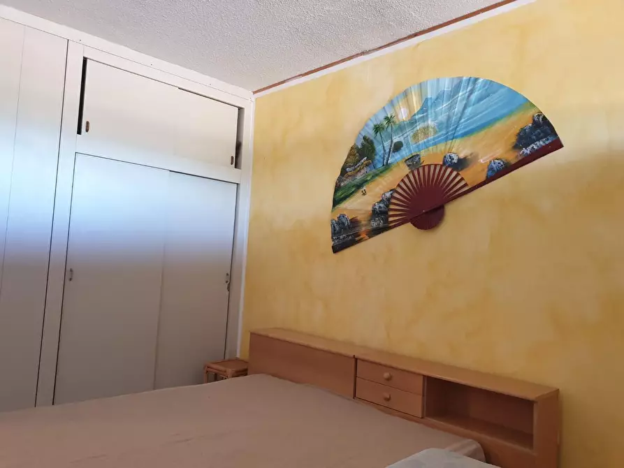 Immagine 4 di Appartamento in vendita  a Bibbona