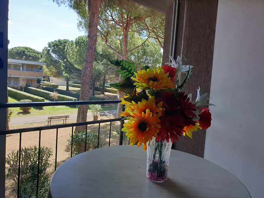 Immagine 6 di Appartamento in vendita  a Bibbona