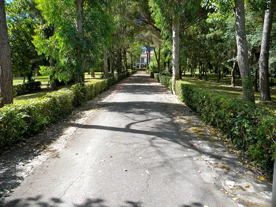 Immagine 2 di Porzione di casa in vendita  a Pisa