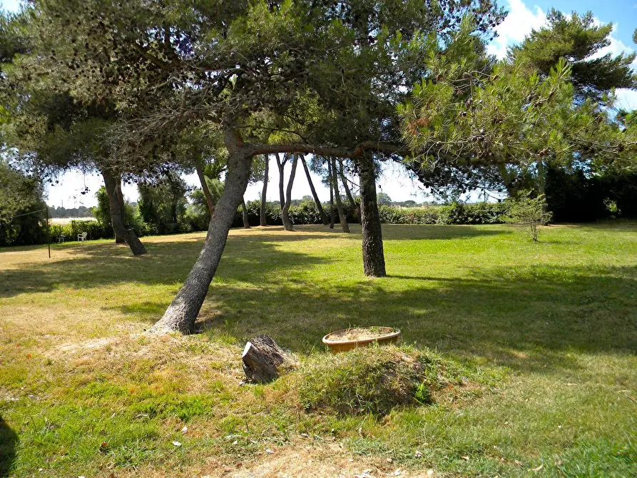 Immagine 19 di Porzione di casa in vendita  a Pisa