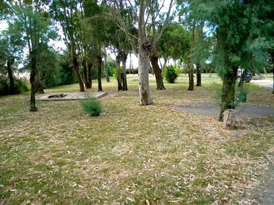 Immagine 13 di Porzione di casa in vendita  a Pisa