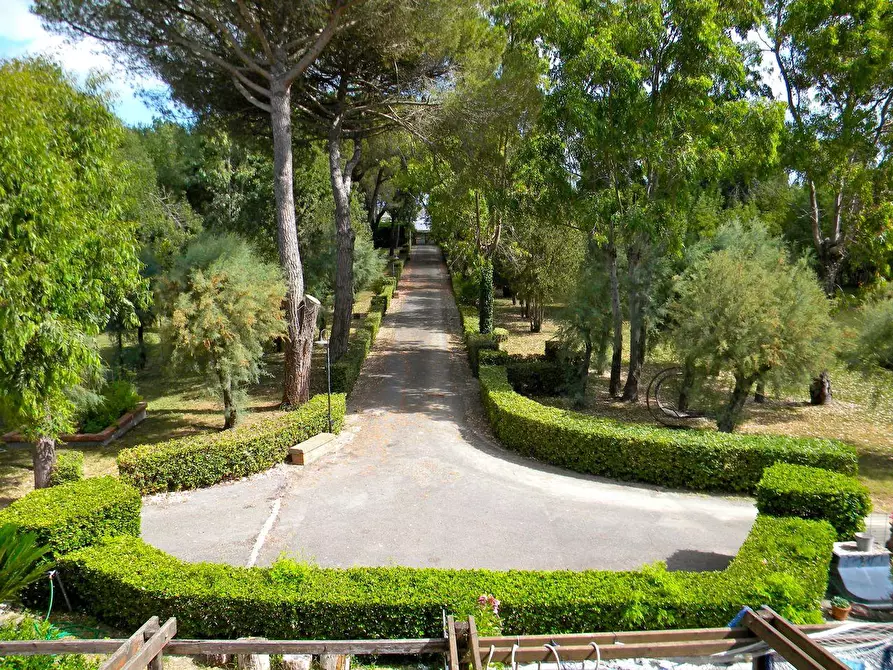 Immagine 12 di Porzione di casa in vendita  a Pisa
