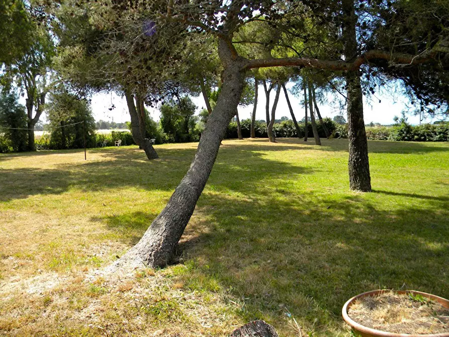 Immagine 18 di Porzione di casa in vendita  a Pisa