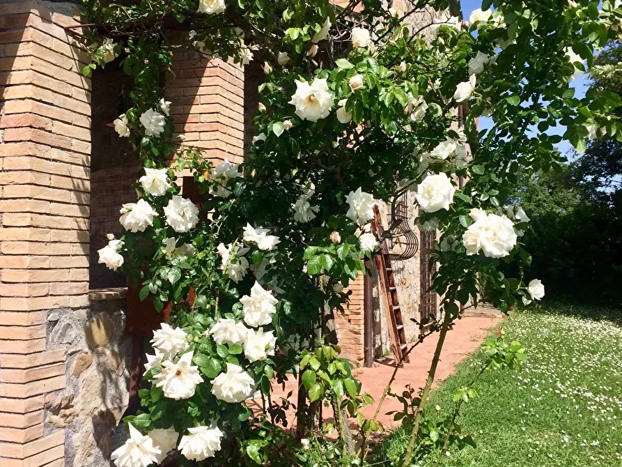 Immagine 52 di Casa colonica in vendita  a Orvieto