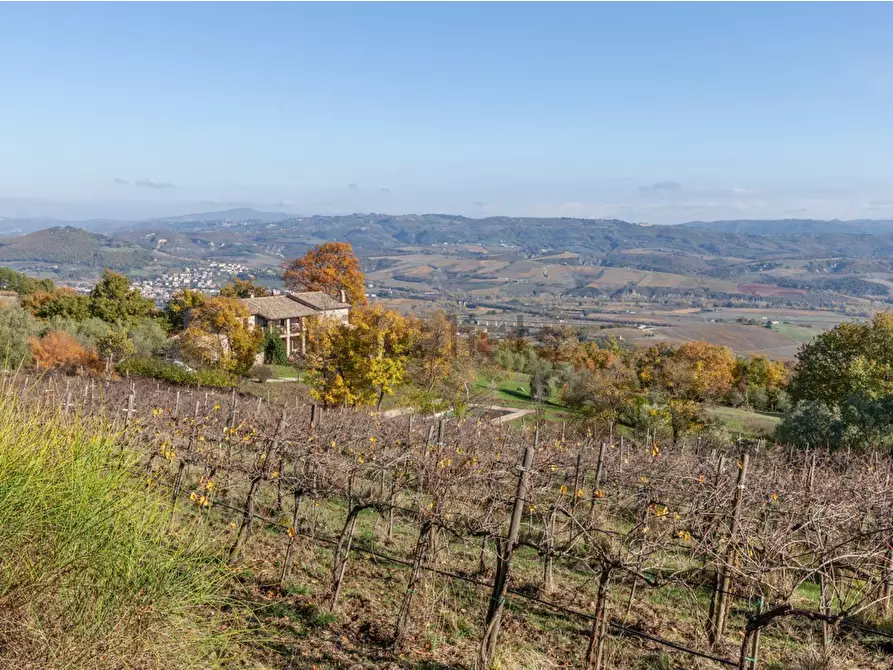 Immagine 43 di Casa colonica in vendita  a Orvieto