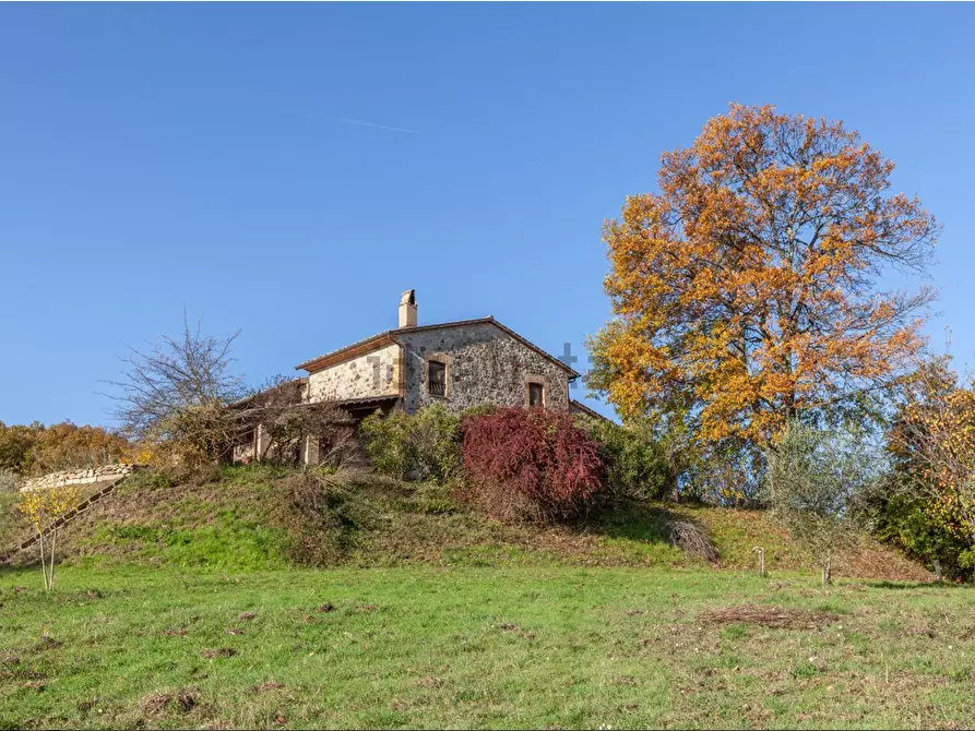 Immagine 20 di Casa colonica in vendita  a Orvieto