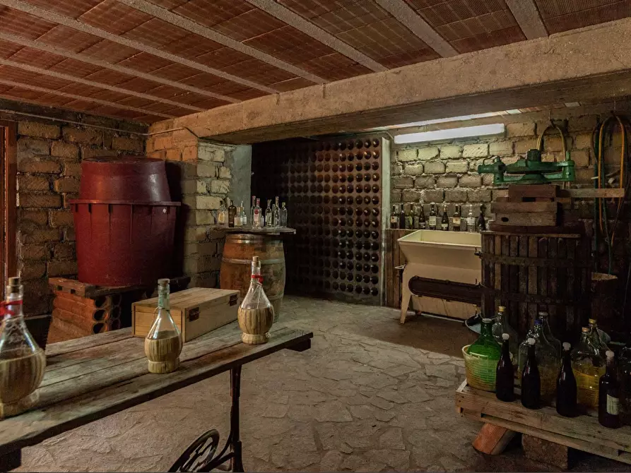 Immagine 22 di Casa colonica in vendita  a Orvieto