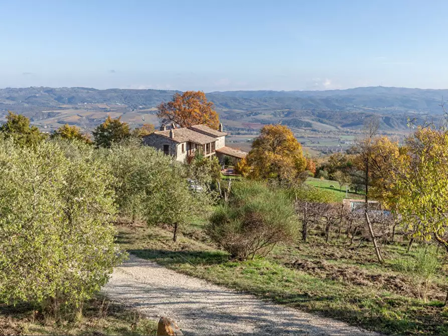 Immagine 41 di Casa colonica in vendita  a Orvieto