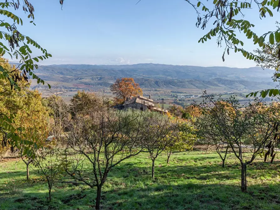 Immagine 42 di Casa colonica in vendita  a Orvieto
