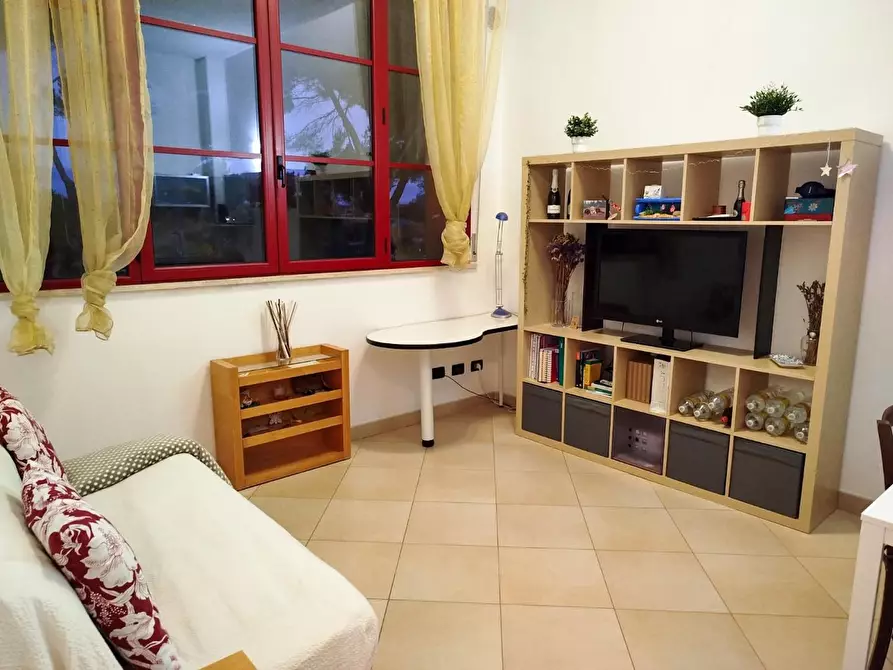 Immagine 10 di Appartamento in affitto  a Pisa