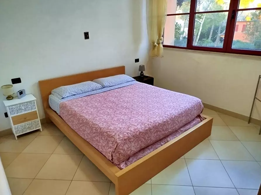 Immagine 14 di Appartamento in affitto  a Pisa
