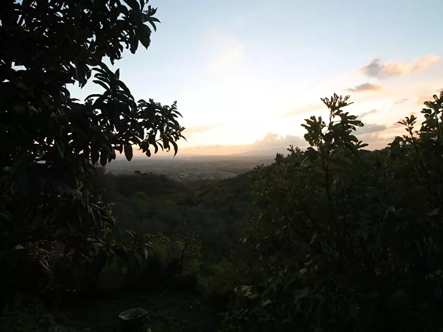 Immagine 10 di Rustico / casale in vendita  a Lamporecchio