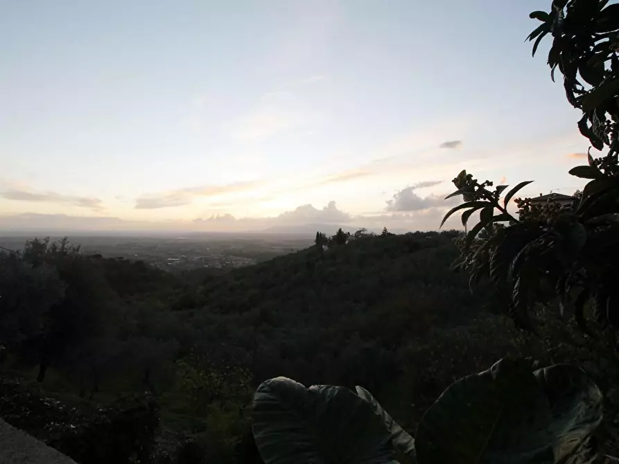 Immagine 2 di Rustico / casale in vendita  a Lamporecchio
