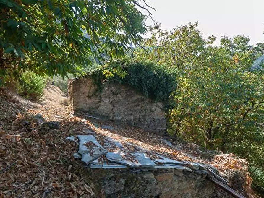 Immagine 1 di Casa indipendente in vendita  a Pietrasanta