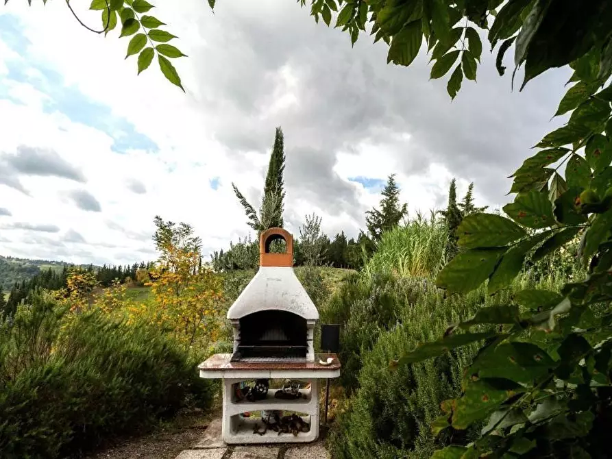 Immagine 15 di Appartamento in vendita  a Montaione