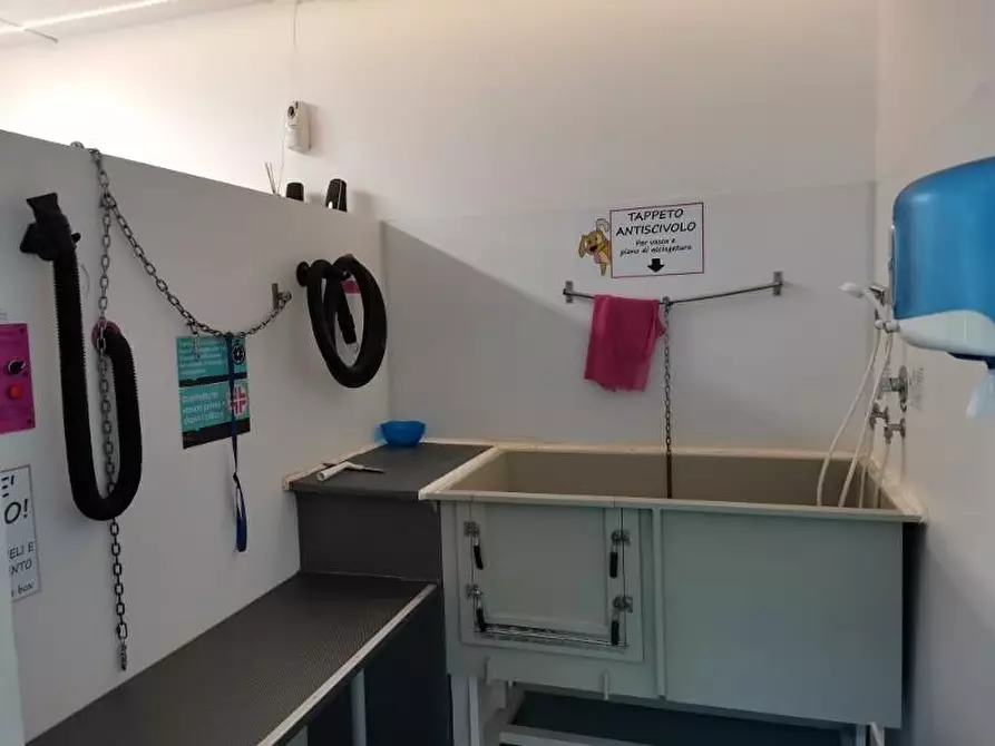 Immagine 4 di Attività commerciale in vendita  a Poggibonsi