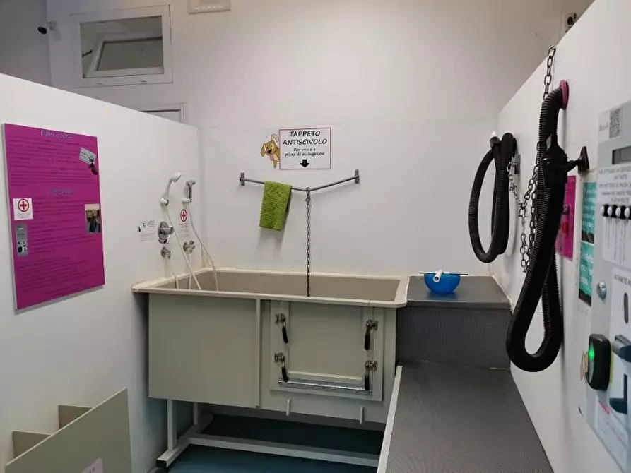 Immagine 3 di Attività commerciale in vendita  a Poggibonsi