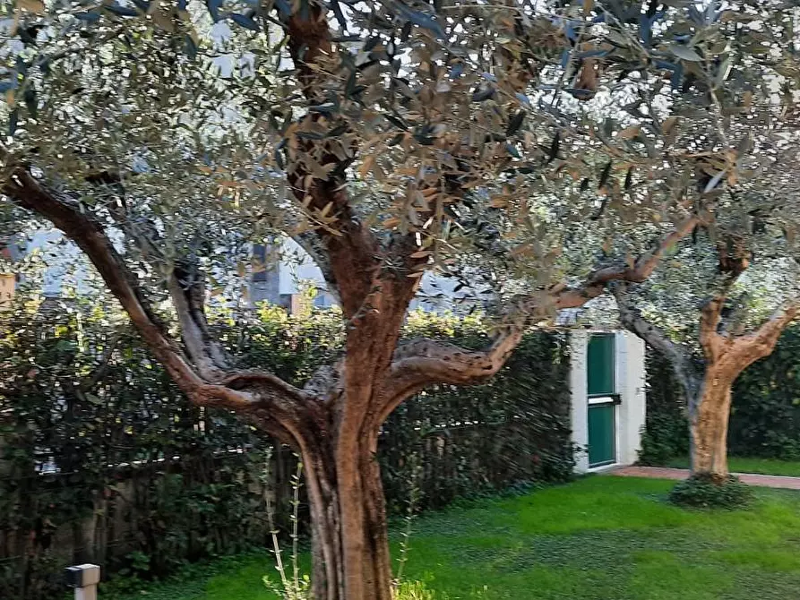 Immagine 28 di Villa in affitto  a Massa