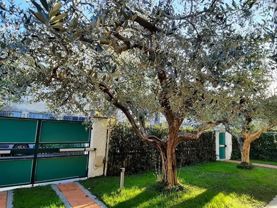 Immagine 31 di Villa in affitto  a Massa