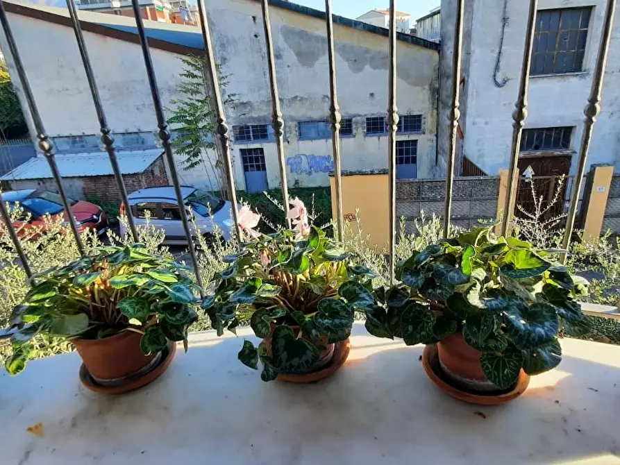 Immagine 23 di Villa in affitto  a Massa