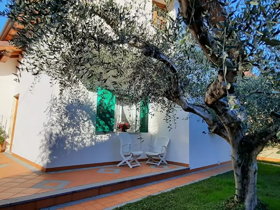 Immagine 52 di Villa in affitto  a Massa