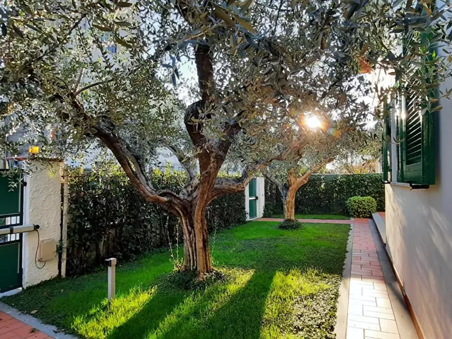 Immagine 33 di Villa in affitto  a Massa