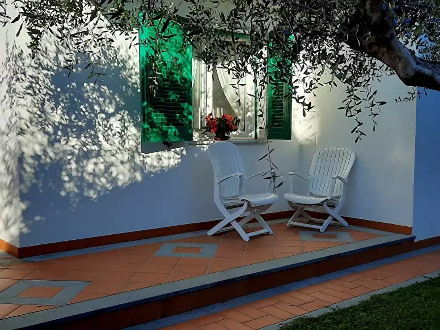 Immagine 44 di Villa in affitto  a Massa