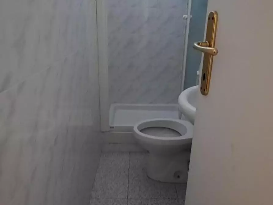 Immagine 21 di Villa in affitto  a Massa