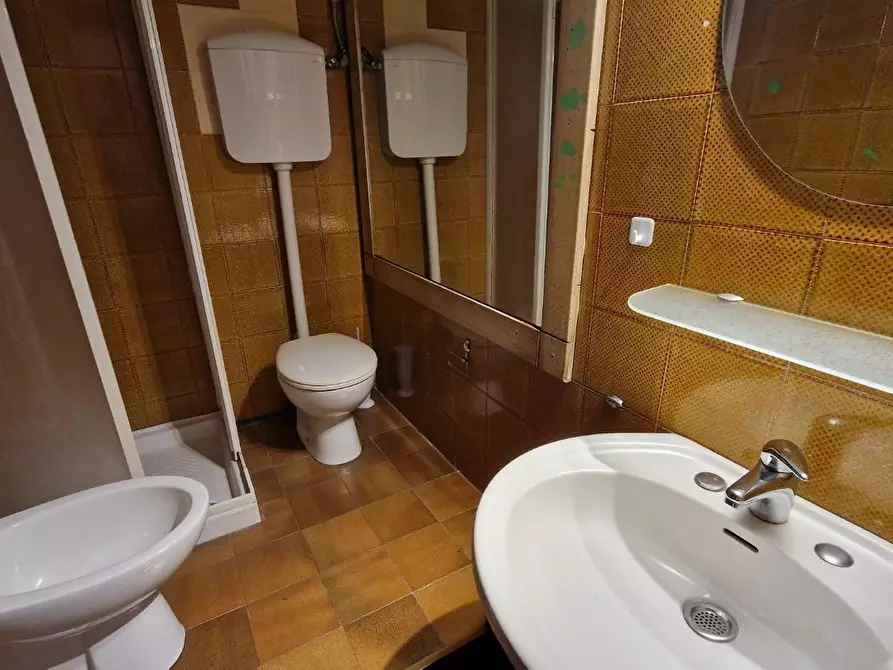 Immagine 27 di Appartamento in affitto  a Pisa