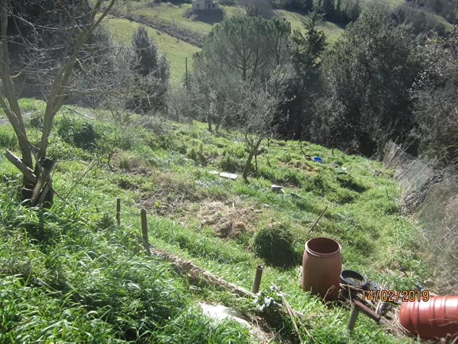 Immagine 25 di Appartamento in vendita  a Monteverdi Marittimo